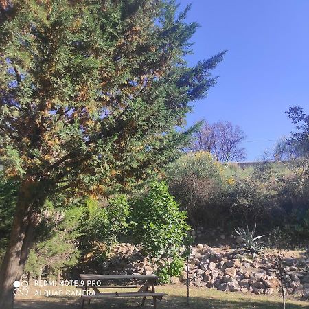Villa Casaleno Gite La Cigale Avec Wi-Fi Millas Buitenkant foto
